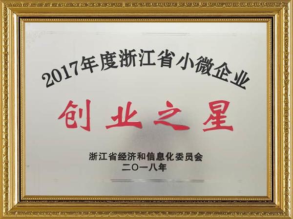 2017 Zhejiang Klein- und Microstunternehmen Entrepreneurship Star